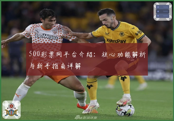 500彩票网平台介绍：核心功能解析与新手指南详解