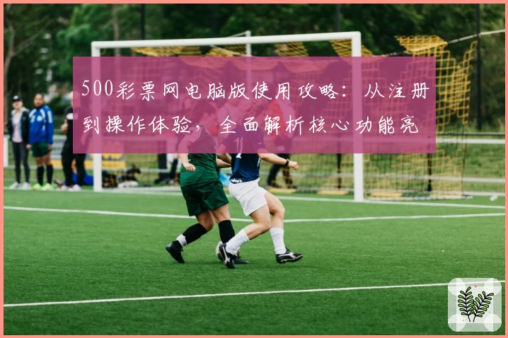 500彩票网电脑版使用攻略：从注册到操作体验，全面解析核心功能亮点
